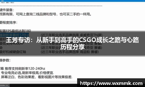 王芳专访：从新手到高手的CSGO成长之路与心路历程分享