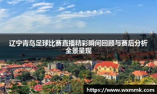 辽宁青岛足球比赛直播精彩瞬间回顾与赛后分析全景呈现